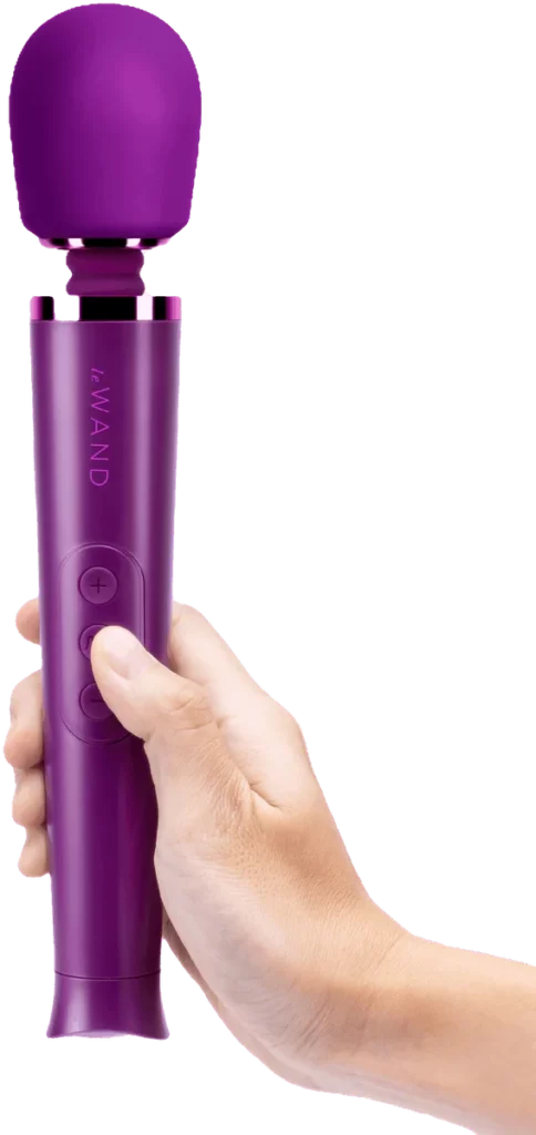 Le Wand Rechargeable