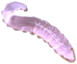 Glazen Dildo Pink Tentacle