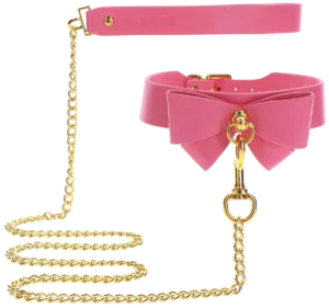 Taboom Collar and Leash