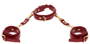 Taboom D-Ring Collar and Wrist Cuffs