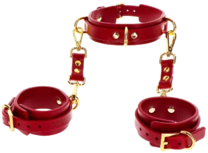 Taboom D-Ring Collar and Wrist Cuffs