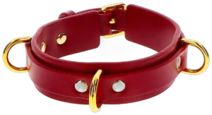 Taboom D-Ring Collar Deluxe