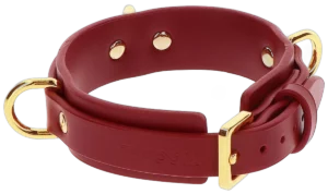 Taboom D-Ring Collar Deluxe