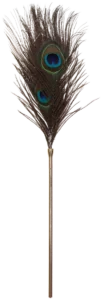 Taboom Peacock Tickler