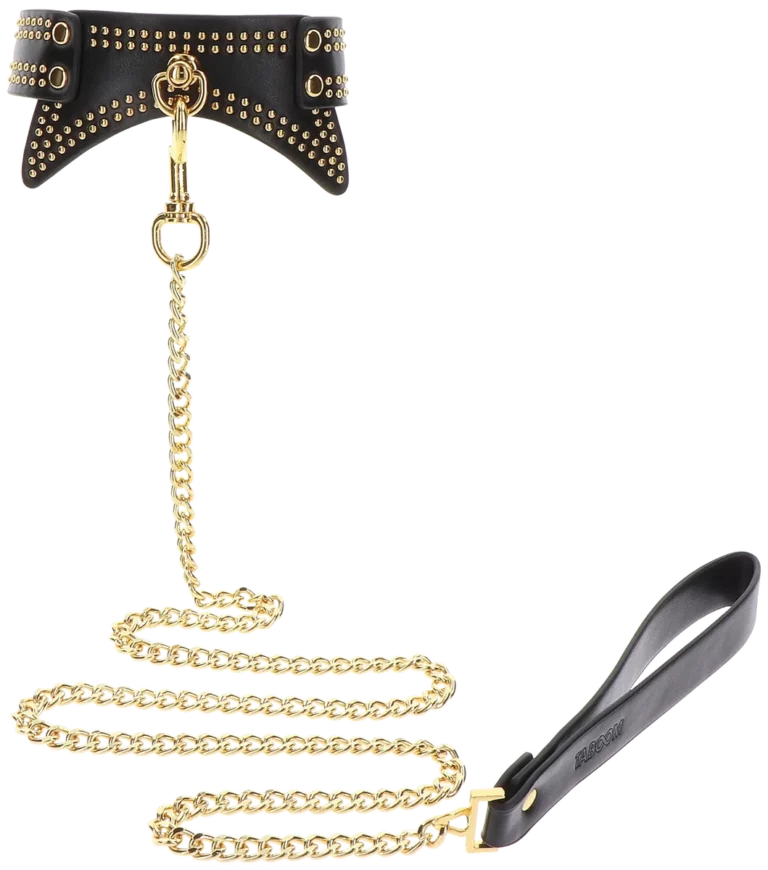 Taboom Studded Collar and Leash