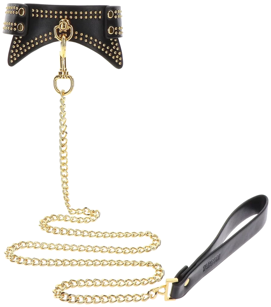 Taboom Studded Collar and Leash