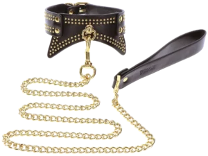 Taboom Studded Collar and Leash