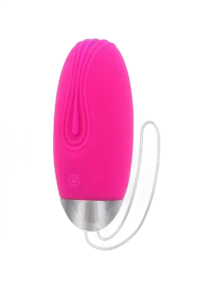 Funky Remote Egg ToyJoy