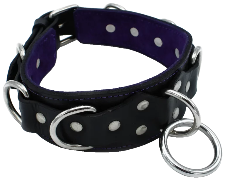 Leren Halsband Deluxe met O-ring en D-ringen