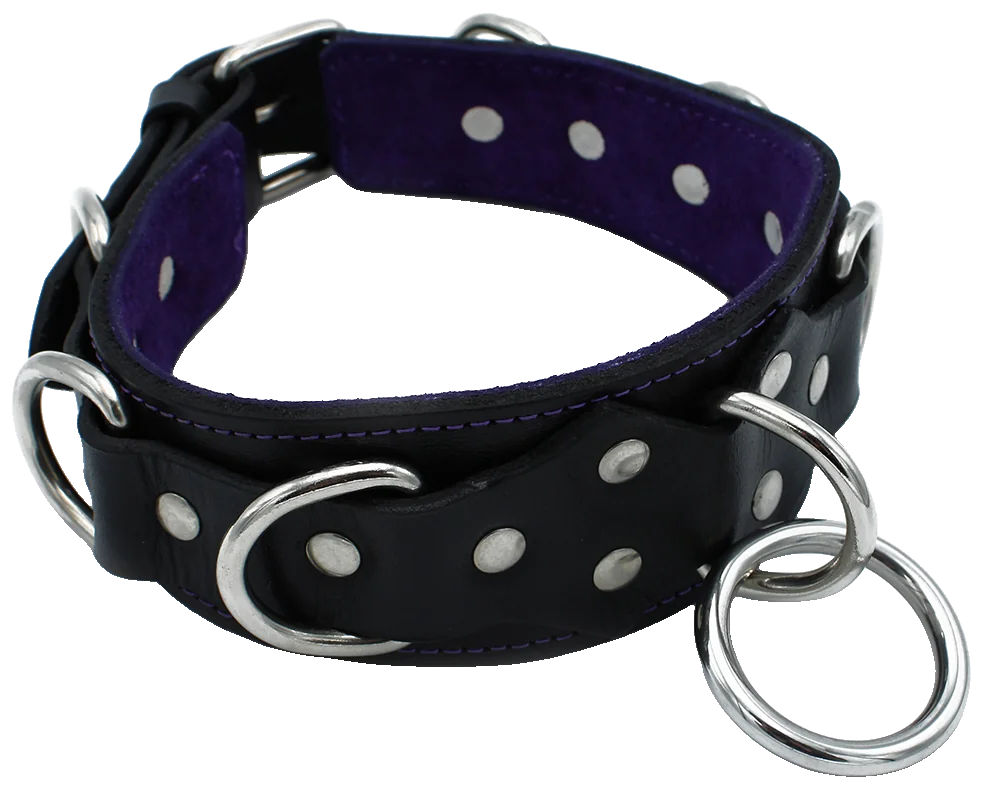 Leren Halsband Deluxe met O-ring en D-ringen