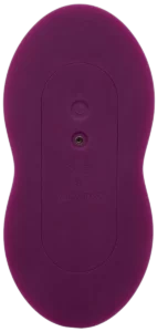 Remote Control Dual Rider