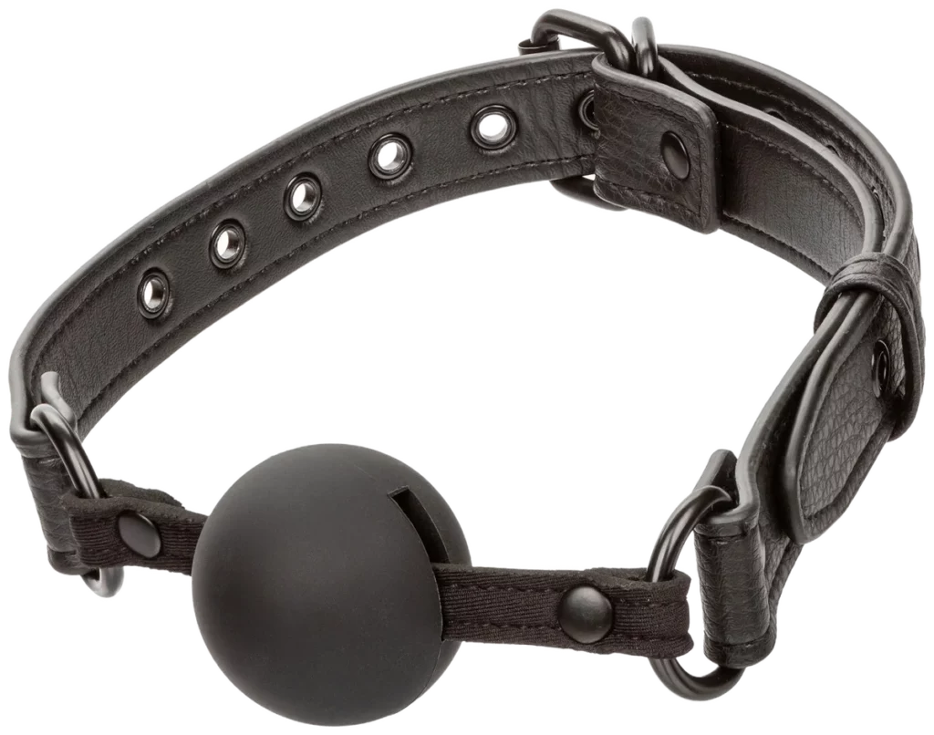 Nocturnal Ball Gag