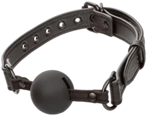 Nocturnal Ball Gag