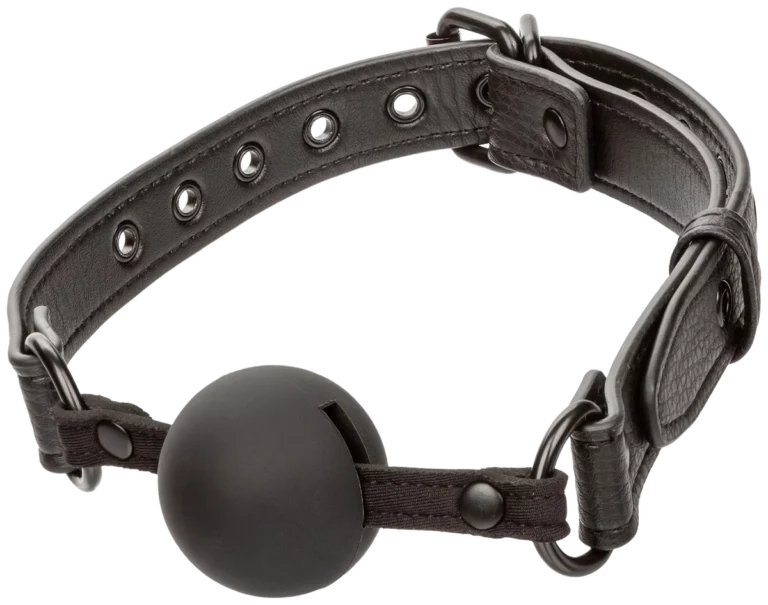 Nocturnal Ball Gag