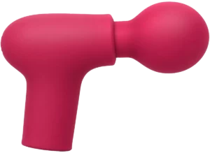 Caresse Power Gun Massager