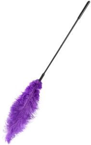 Double Feather Tickler