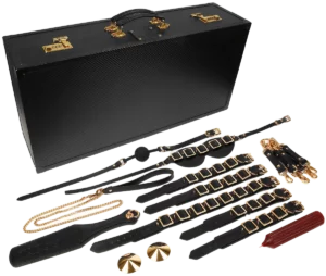 Taboom Desires Masterpiece Case